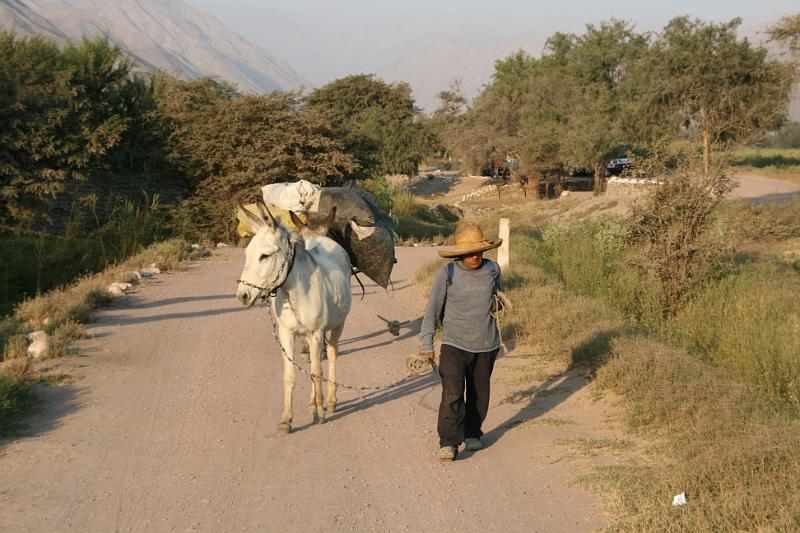 Peru 0287